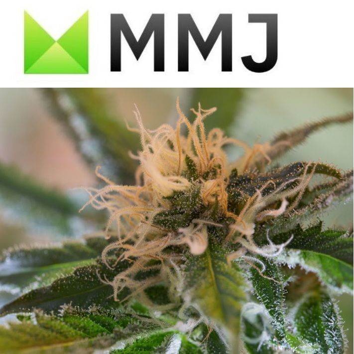 MediPharm Labs Enters Contract with Canopy Growth