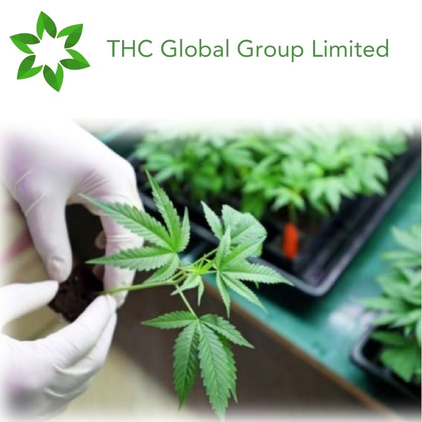 Expands into New Zealand Medicinal Cannabis Market