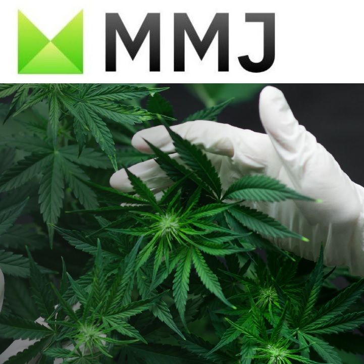 MMJ Group Invests CAD$6m in WeedMD Inc.
