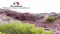 Ardea Resources Ltd (ASX:ARL) $2.5m R&D Refund Raises Cash Position to $11.8m