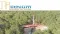 Ellis Martin Report: Standard Lithium and the Fast Track to Production in Arkansas, USA (CVE:SLL) (OTCMKTS:STLHF)