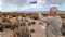 Lake Resources NL (ASX:LKE) Comptes semestriels