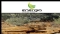 2010년 11월1일 호주 시장보고서: Energia Minerals (ASX:EMX), 새로운 우라늄 시추 착수