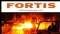 2011년 2월2일 호주 시장보고서: Fortis Mining (ASX:FMJ), 홍콩 투자사와 전략적 제휴